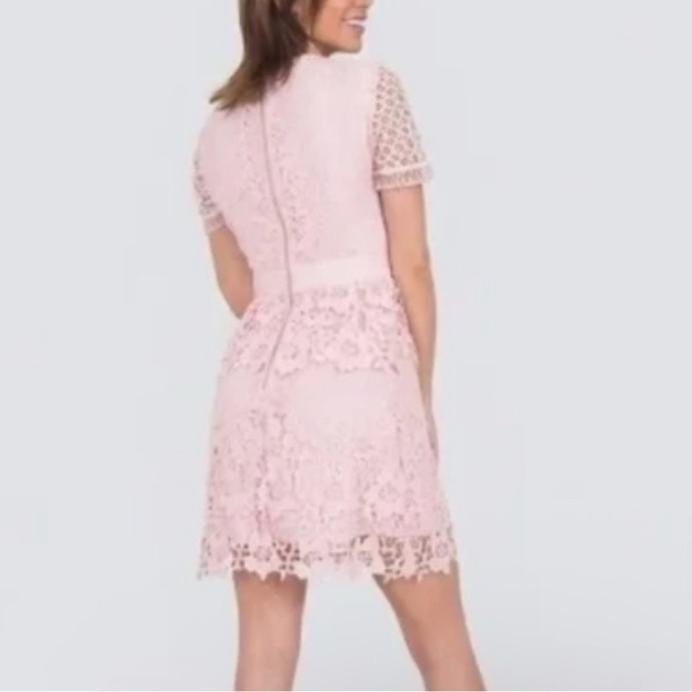Ted baker Elegant Pink Lace Dress - Picture 2 of 10